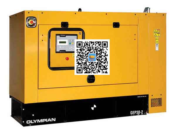 河源出租发电机组配置有哪些重要特点